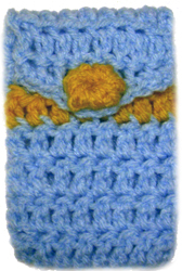 cell phone cozy