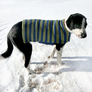 crochet dog sweater coat