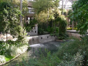 longwood