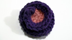 crochet_spiral_barrette