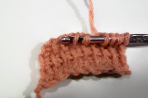 crochet_tun_fp_dec_1
