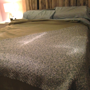 Here is Lynne's spring blanket WIP.