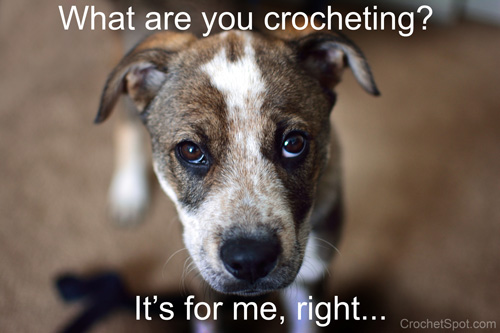 crochet dog